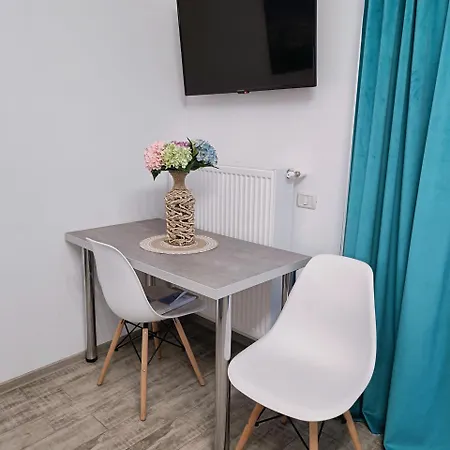 Apartment Studio Alex Sofi 2 *